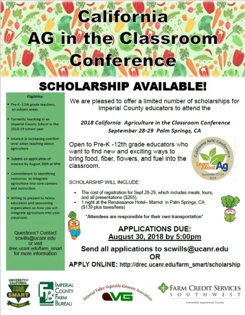 scholarship flyer new