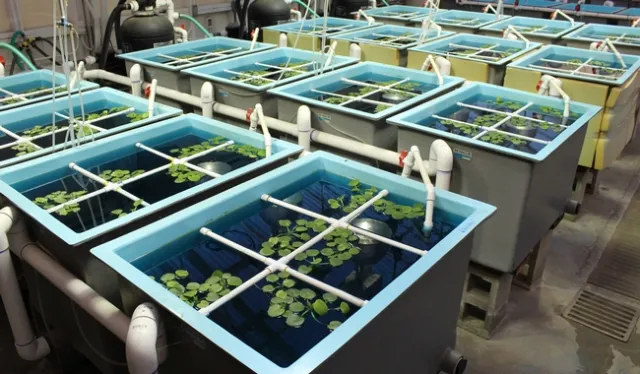 Overview of study setup.