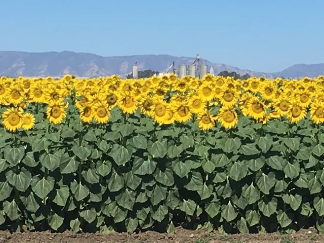 photo by Michelle Davis