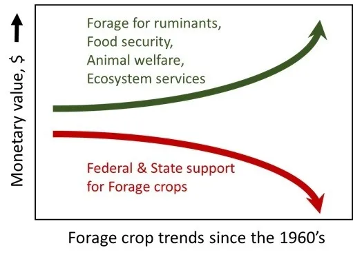 ForageTrendsSpending