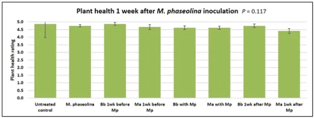 1 week after Macrophomina inoculation