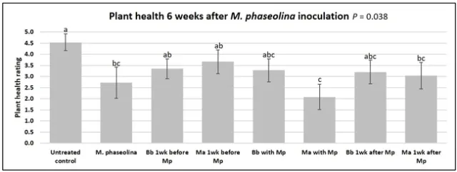 6 weeks after Macrophomina inoculation