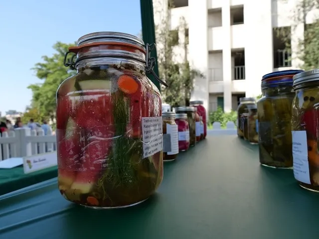 Darrell Prize Winning Pickles, front left