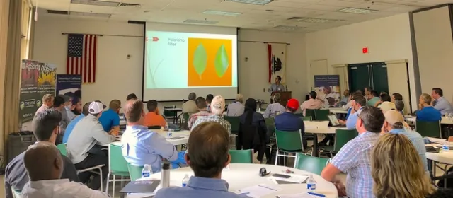UCCE specialist Ali Pourreza compares a citrus leaf infected with HLB with one that is not infected.
