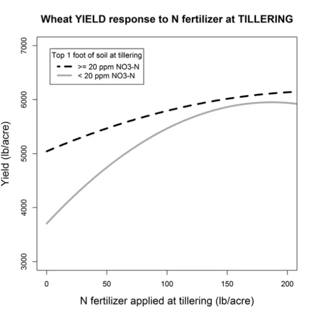 Yield Response to N Timing