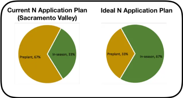 Standard and Ideal Nitrogen Use in Wheat Pie Chart