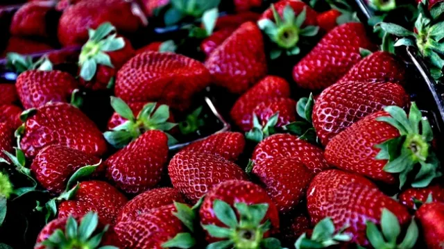 Berries are soft fruit, which make them particularly challenging for robotic handling. (Photo: Pixabay)