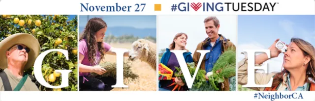 Giving Tuesday banner