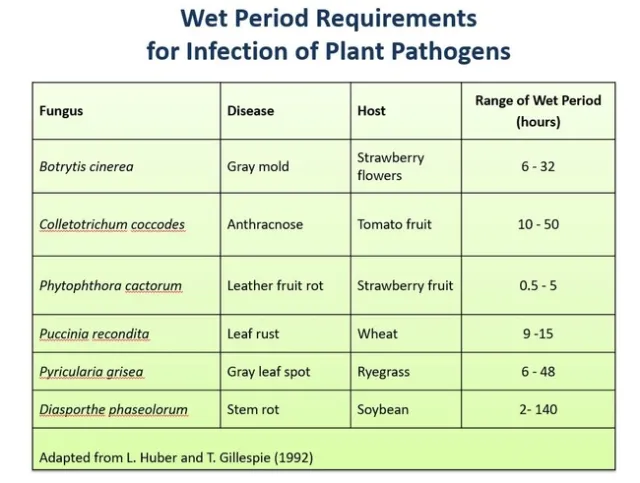 leaf wetness and hours