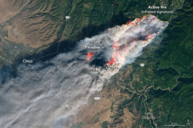 Image Credit: NASA Earth Observatory/Landsat 8/OLI