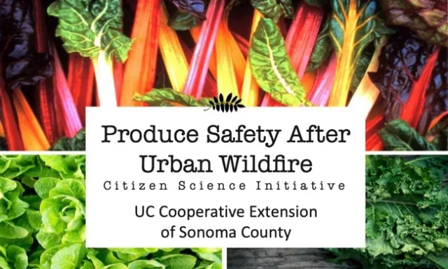 CropSafetyWebsite Banner