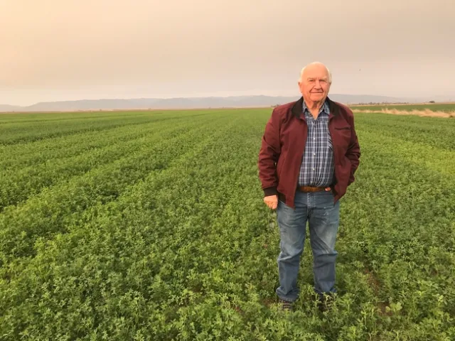 Duane Chamberlain, farmer from Yolo County, California, takes pride in farming quite difficult, class IV heavy clay soils, producing high yields and quality with alfalfa and grass hays destined for the horse and dairy markets. He is a big believer in early fall planting on modified shallow beds for maximizing yields on heavy soils, as in this productive new field in Woodland, CA. (November 8, 2018)