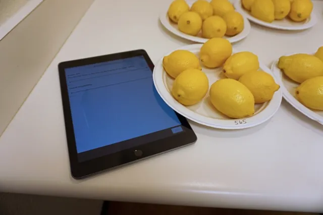 The visual component of the testing session allows scientists to determine whether subtle impacts of treatment will deter buyer from selecting the fruit.