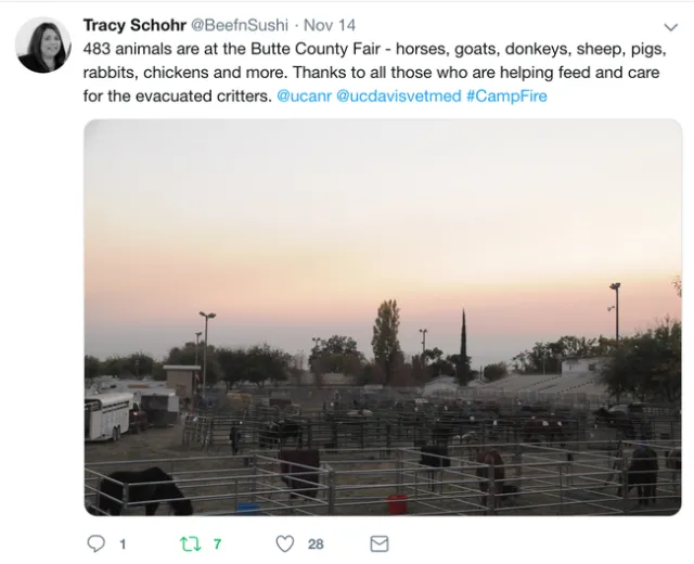 UCCE staff in Butte County and neighboring counties have been reaching out to assist community members.