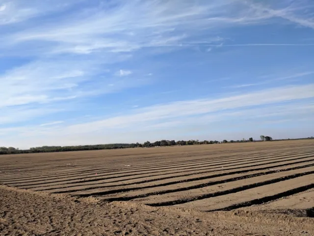 IMG 20181102 152440 (2)