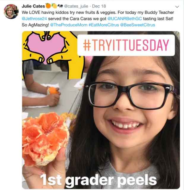 Julie Cates TryItTues