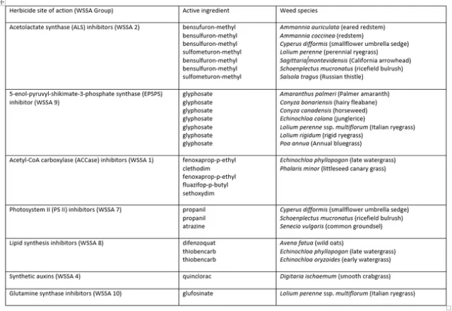 Weeds in CA with HR to one SOA