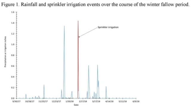 Figure 1. Rainfall and sprinkler irrigation events over the course of the winter fallow period.