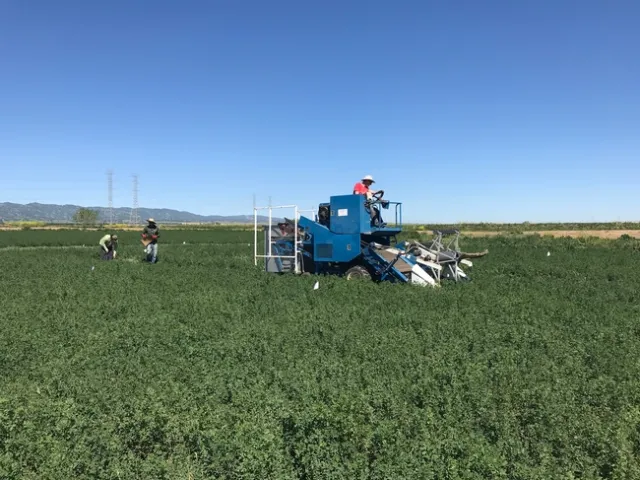 2018AlfalfaHarvest