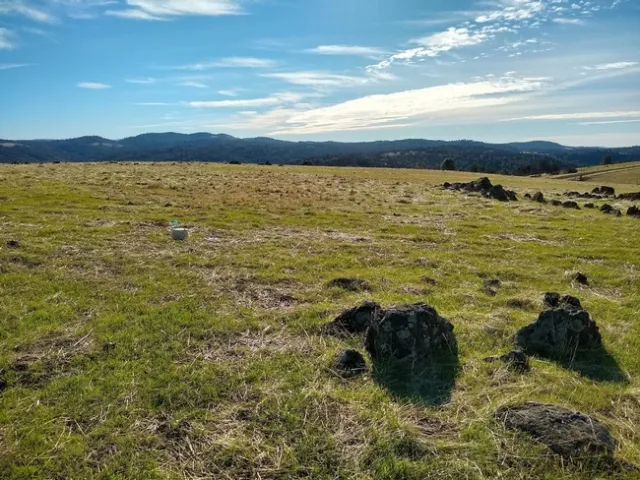 Monitoring greenhouse gases on food waste compost plot.