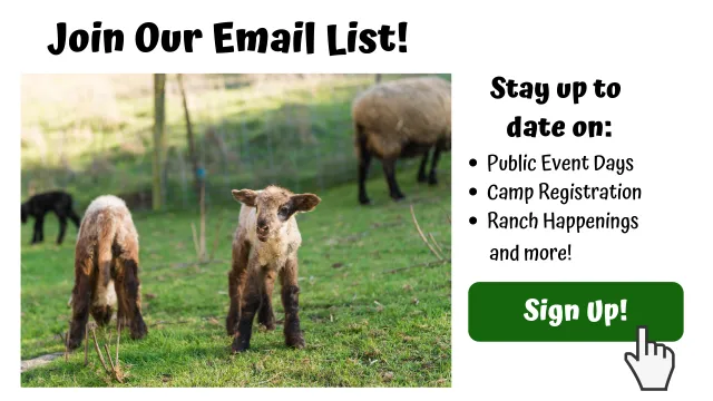 Stay up to date on news and events happening at UC Elkus Ranch