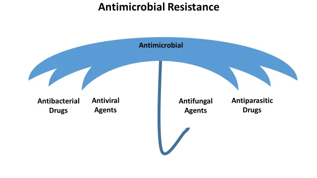 Drug Residue Antimicrobial Umbrella 001