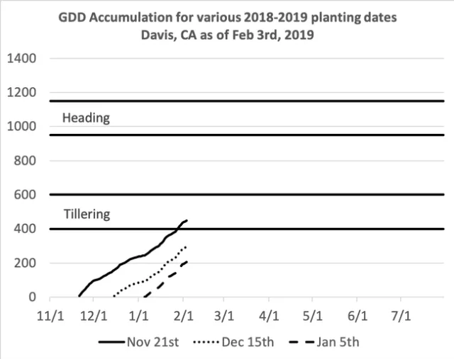 GDD Wheat Nov21-Feb3