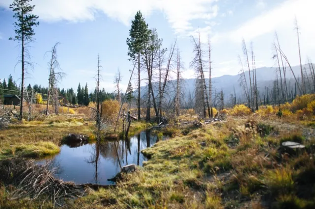ANR is partnering with UC Merced and UC Irvine scientists to develop new tools and methods for better land management.