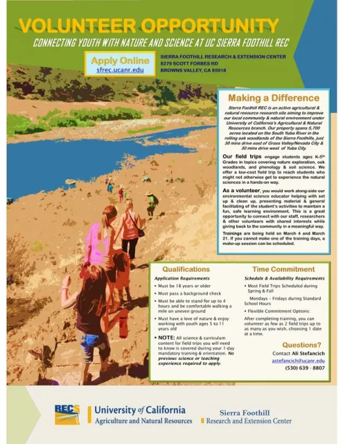 FINAL FLYER Volunteer Recruitment 2019 Vertical