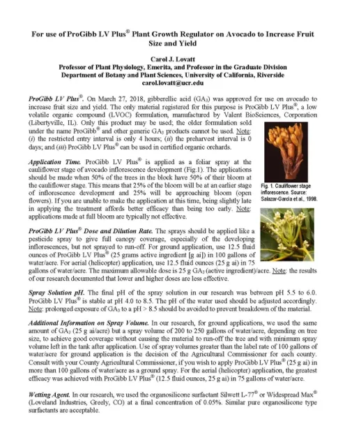 Lovatt - gibb spray CAC Grower Education Feb 5-7 2019 Handout GA3 to increase yield