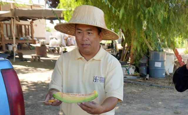 The rainy winter means sweet strawberries are on the way, says UC Cooperative Extension small farms and specialty crops Hmong ag assistant Michael Yang.