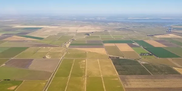 One component of Bruno's research is understanding how prices influence the adoption of water-saving agricultural technology. Photo by Casey Uy.