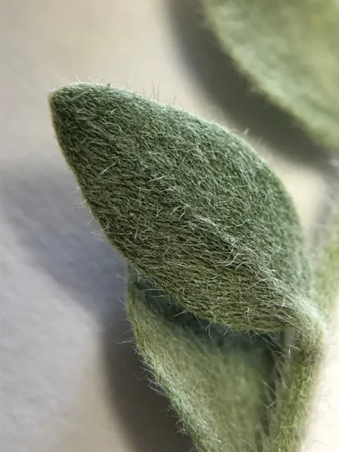 Alkaliweed hairs