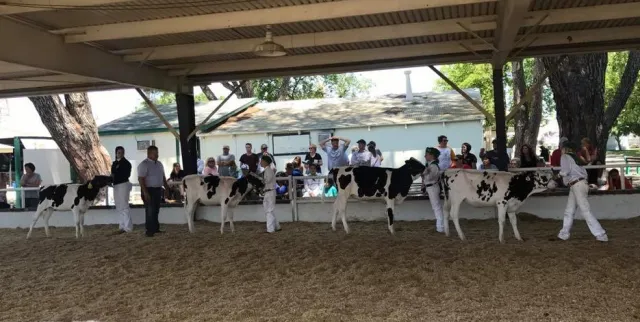 32888156_1884246264939311_5573228298630070272_n