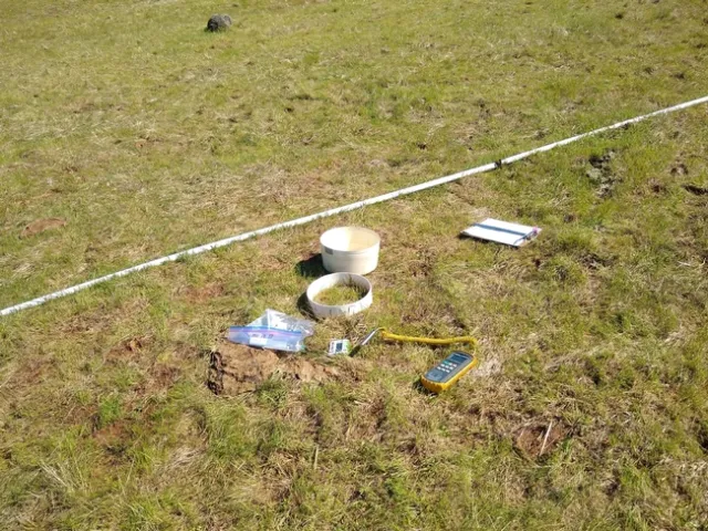 Sampling of the green house in the plots.
