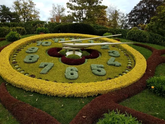 Clock in October 2018. The seconds are made up of succulents. Photo by Viv