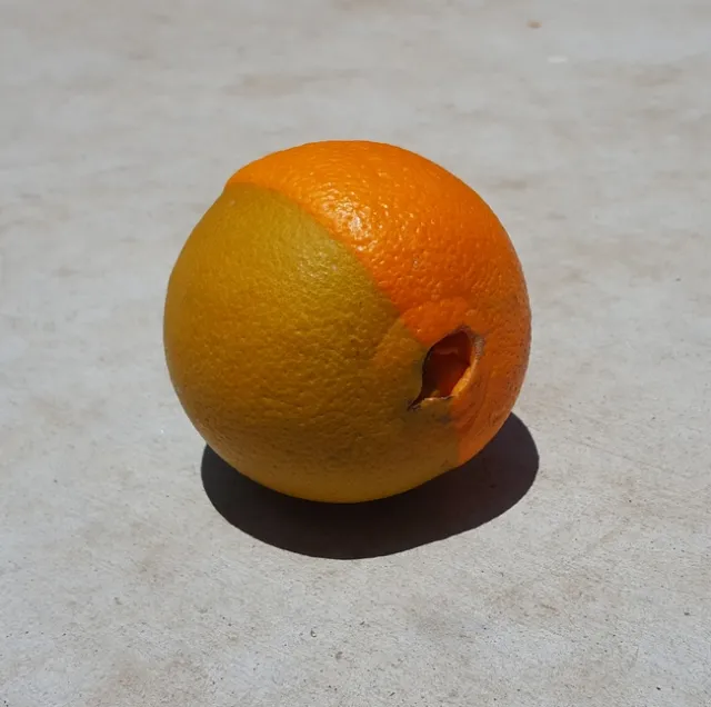 navel chimera coloring