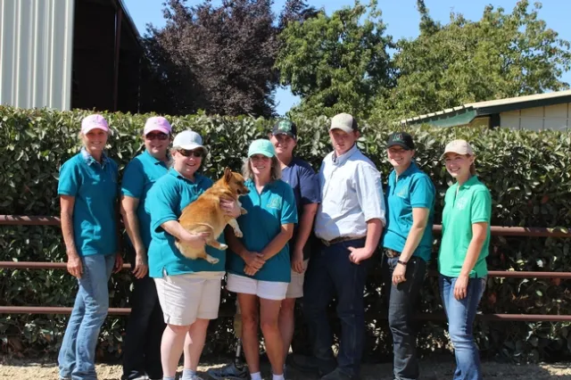 4-H State Horse Classic volunteers