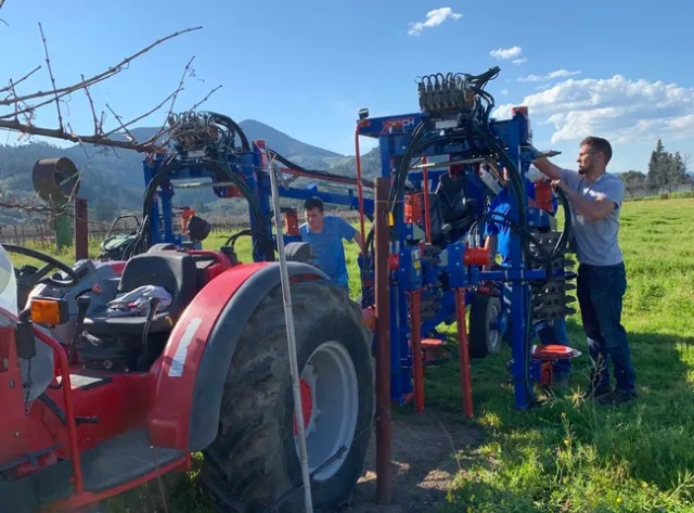 Mechanical pruning reduced labor costs by 90%, resulted in increased yields and berry quality was as good or better than hand-pruned vines.