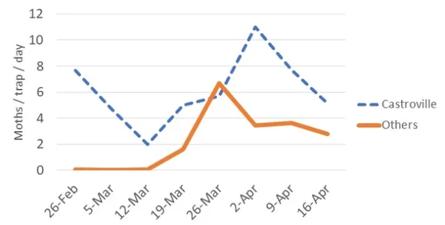 DBM captures 4-16-19