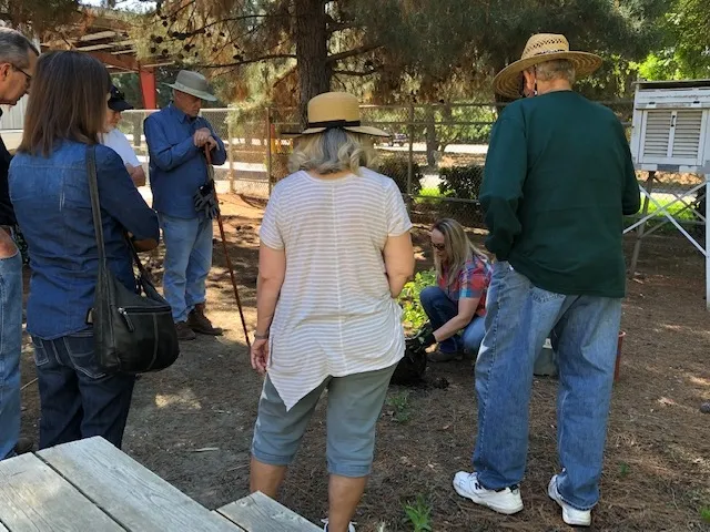 Attendees watch tree planting.