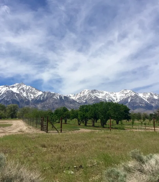 The Manzanar Orchards