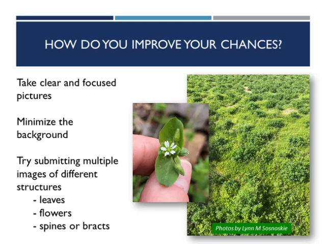 Improving your chances of a successful ID