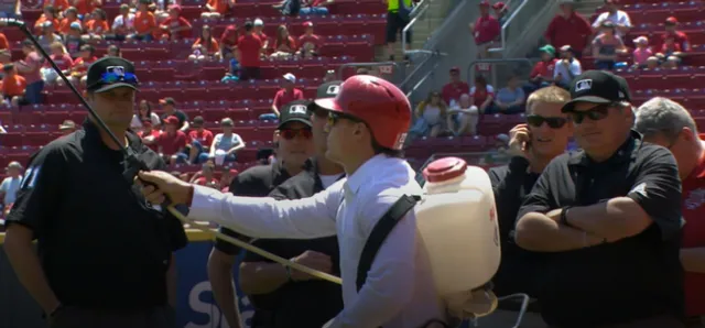 Pretending to spray the bees. (MLB website)