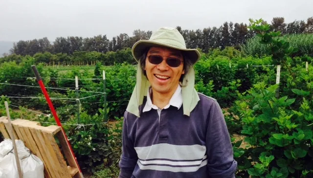 Muramoto partnered with UCCE advisors Oleg Daugovish and Andre Biscaro in 2014 to study anaerobic soil disinfestation at Hansen Research and Extension Center in Ventura County.
