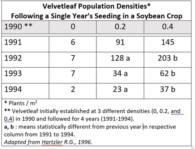 Just a few velvetleaf weed plants left behind in a crop have a tremendous ability to reproduce.