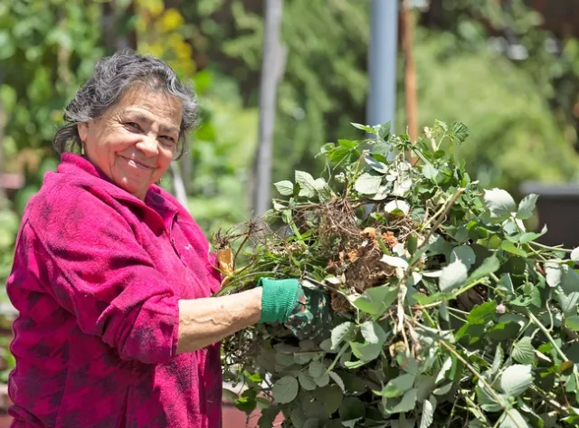 Participant helping with garden clean up