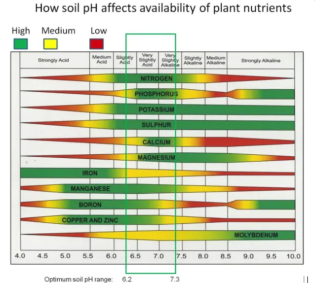 How soil pH affects nutrient availability