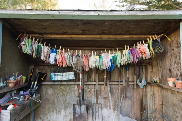 Elkus Ranch Garden Gloves. Students harvest produce from our gardens to create a healthy meal. Photo credit: Nicole Cross Photography