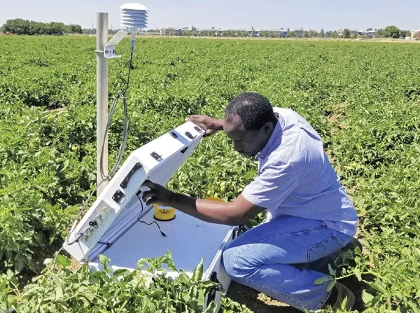 Isaya Kisekka inspects a small footprint cosmic ray neutron probe soil moisture system that can also measure soil water over the entire tomato field at the UC Davis research farm.